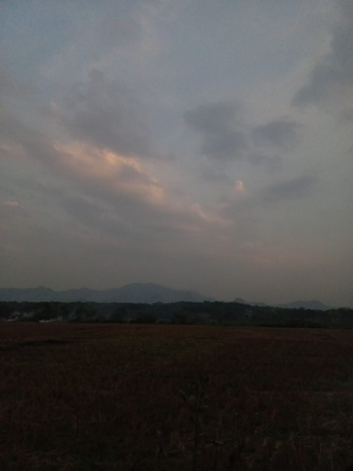 Pemandangan Desa